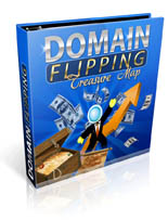 Domain Flip Treasure Map ebook