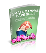 small mammal care