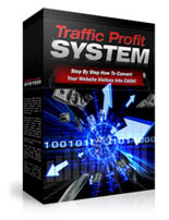 Traffic Profit System